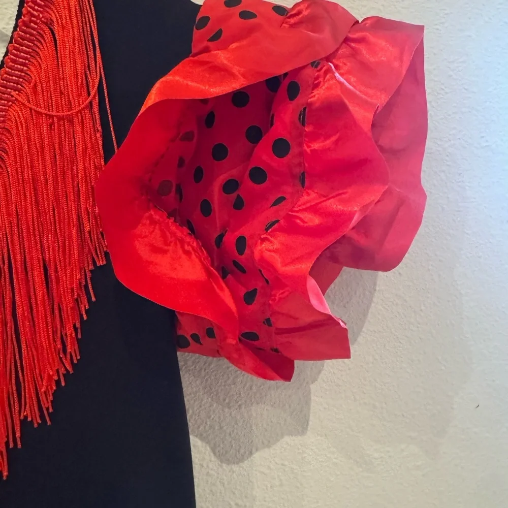 Red Black Polka Dot Flamenco Dress Costume